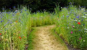 Obecność dzieci w przedszkolu po święcie Bożego Ciała